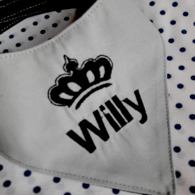 szara apaszka dla psa z czarnym imieniem willy
